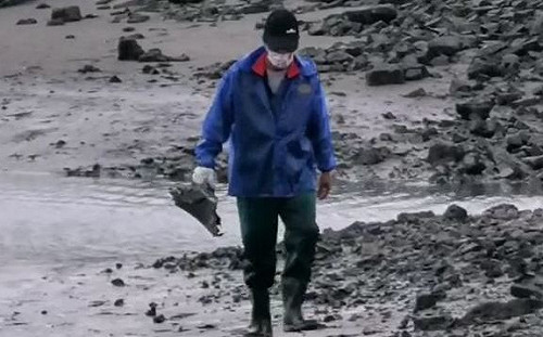 救援黃金72小時！搜索F-16V再拾獲大量殘骸 疑似發現外套