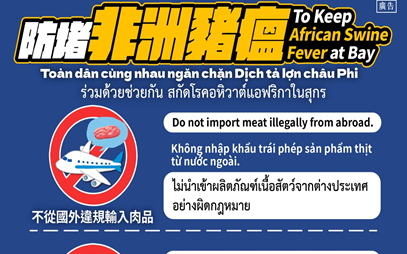寄送家鄉豬肉製品來台大幅增加 移民署籲新住民齊防非洲豬瘟免受罰