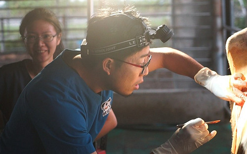 畜牧動物獸醫師養成故事躍上大螢幕！ 新北府中15舉辦《通道》特映