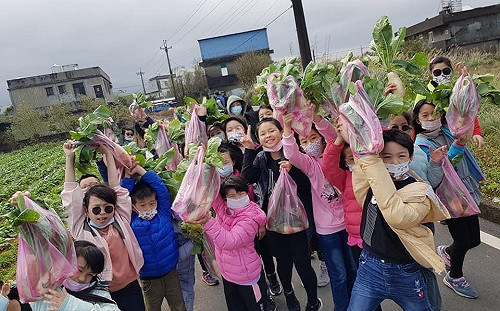 三芝「蕃婆林休閒農場」體驗兒歌趣 白蘿蔔嘗鮮正當時