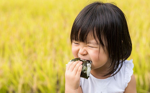 今天是御飯糰之日！ 日觀光局透露節日起源是因這件事......