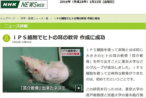 史上第1次！iPS細胞成功做出人耳軟骨