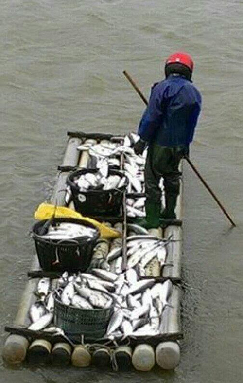 張花冠怒批中央：把農災當選戰打