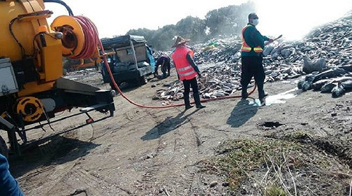 處理魚屍 高雄4焚化爐火力全開