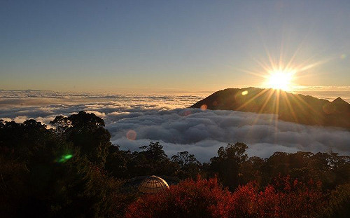 過年上山賞神木！網激推4大森林區