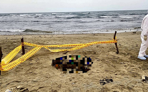 三芝沙灘赫見海漂動物遺體   新北動保處查明飼主並開罰