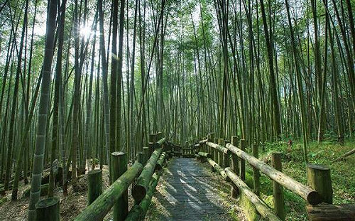 悠遊國旅方案7/15開跑！自由行住宿最高補助1300元