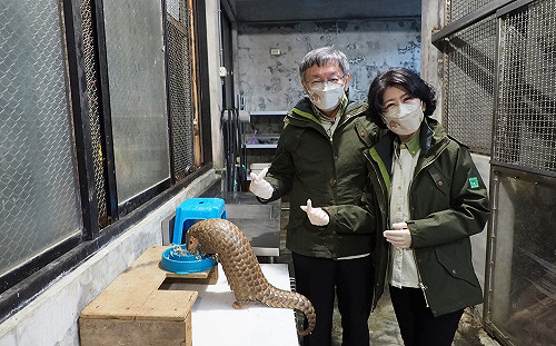 穿山甲「果寶」、「潤喉糖」將赴布拉格 柯文哲夫妻「打碎麵包蟲」備年夜飯