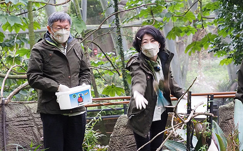 柯文哲、陳佩琪給你虎虎！過年一起幫石虎、蜂虎加菜