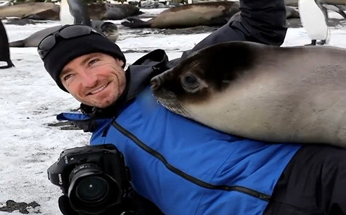 攝影師夫妻遇海豹狂蹭！網：好羨慕