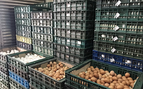 蛋價再漲2元遭批失能！陳吉仲公布「價格回穩」時間