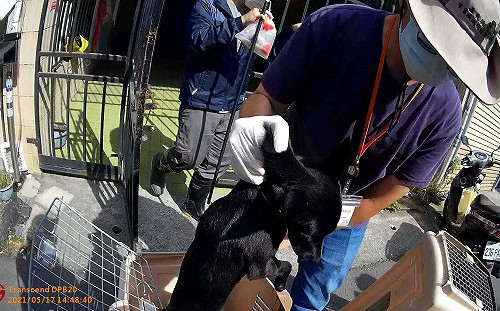 惡房客棄2犬月餘 嘉縣家畜所重罰11萬3千元