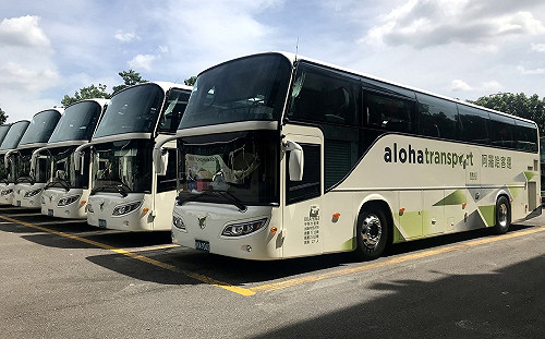 阿羅哈客運明起停駛！公路總局：1年內沒申請復駛就歇業