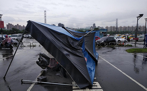 福虎帳棚添新裝 新北河岸風光心感動