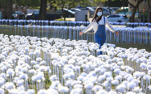 情人約會浪漫首選！台南3萬朵玫瑰花燈海白天夜晚都好拍