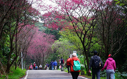 228連假遊新北水岸光廊及山城花景