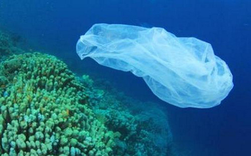 蕭徐行觀點》全球環保新協議  聚焦終結塑料汙染