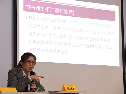 「張慶忠條款」復活？社民黨：綠挖坑給自己跳