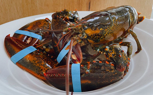 台東6旬男抓龍蝦落水　送醫不治