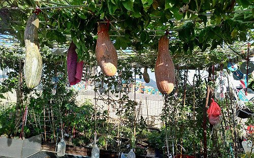 新北節能E好宅計畫啟動