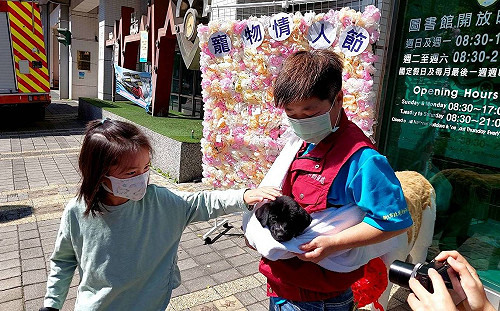 全國首創寵物友善圖書館   新北動保處辦多元認養活動