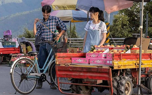 《高山上的熱氣球》電影取景  參山處特映會邀大家看見梨山