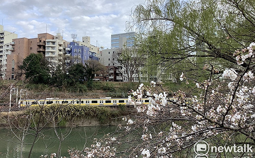 劉黎兒觀點》日本22日起救經濟「與病毒共存」 關鍵原來是…