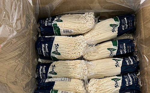 網傳外銷金針菇驗出李斯特菌「台灣零售也有賣」？  事實查核中心：錯誤訊息