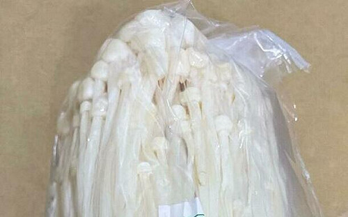 第2起金針菇遭美驗出李斯特菌！農糧署證實：和首批來自同農場