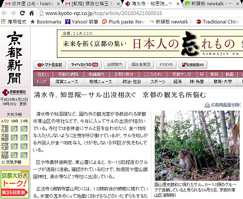 猴猻也稱王？京都名勝傷腦筋