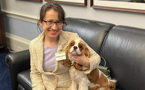 中國氣噗噗制裁七台人 含蕭美琴、顧立雄、蔡其昌、柯建銘、林飛帆