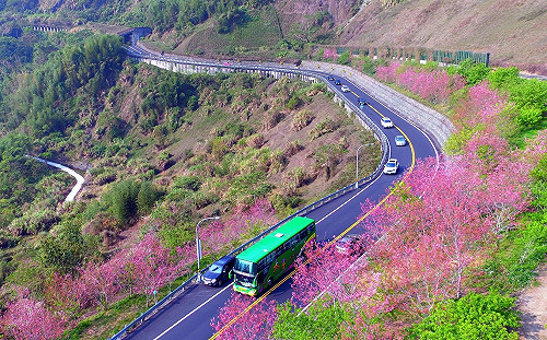 上山注意!阿里山公路邊坡施工 單線雙向管制至明年9/19