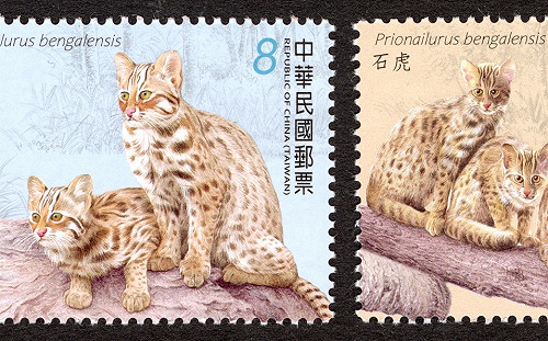 集郵迷別錯過！中華郵政石虎主題郵票4/13發行