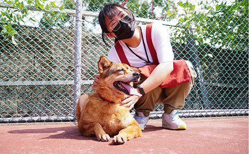 新北動物之家每天清消防疫  兼顧毛寶貝身心健康