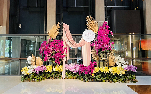 延續花材新生命！台南38處微型蘭展「遍地開花」