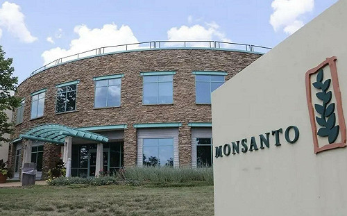 孟山都中國籍前員工遭控「經濟間諜」 美法院判處29個月