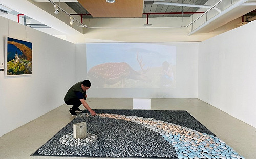 到新北淡古春遊馬祖 1500顆藍眼淚現蹤