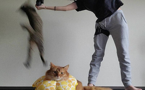 貓奴用健身環運動遭干擾！網全笑歪