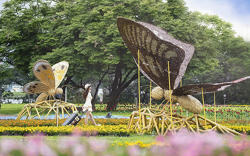 新北河濱蝶戀季 讓你不出國也能環遊世界