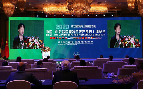 挺俄導致與東歐關係惡化  中國派代表團釋疑但難救16＋1