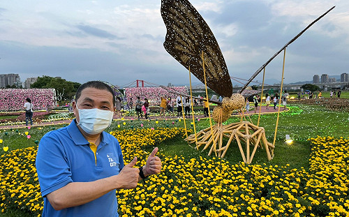 最新偽出國 新北河濱蝶戀季 幸「蝴」環遊世界