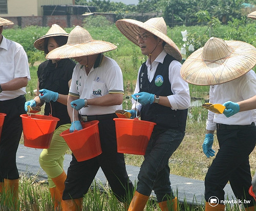 燒稻草占空污3% 李應元化身農夫推腐化菌