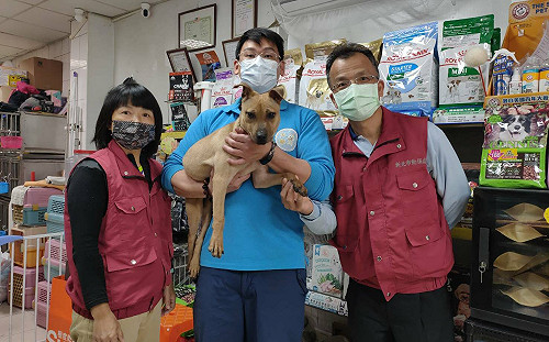 新北動保處認養小站媒合  石門區林茂森里長認養守衛犬