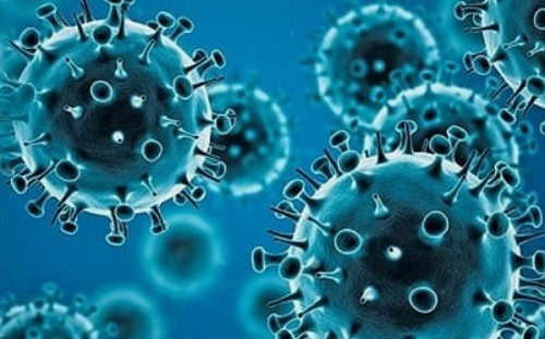 最毒的變種病毒株在這裡！ CNN：BA.5也正在中國流行 恐加劇封城