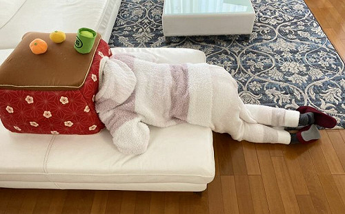 新窩到手！媽埋頭「密室型吸貓」