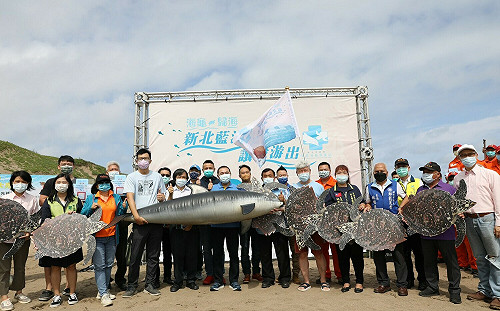 新北首創海洋救援藍海先鋒隊奏功　侯友宜野放海龜「早八」籲保育生態