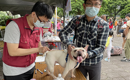與動物之家毛孩同慶母親節　新北動保處辦認養活動