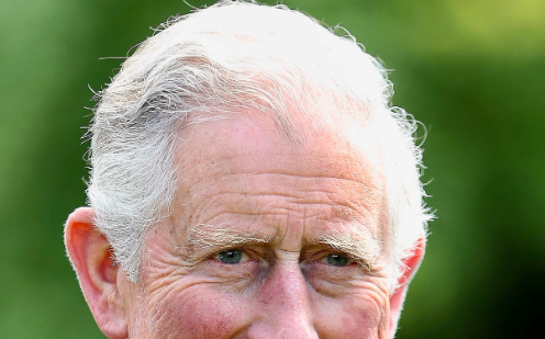 英國內閣警告查爾斯王子  要當國王就別干政