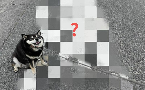 散步到一半！牠見地上2字變拒否柴