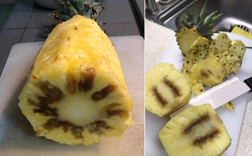 台灣鳳梨外銷日本「黑心」事件頻傳 立委批：農委會一年還要丟幾次臉?